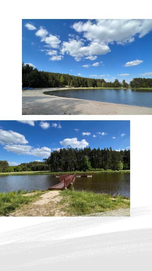 Domek Letniskowy Pod Brzozami Na Roztoczu Wsrod Lasow, Zamosc, Krasnobrod, Zwierzyniec Adamow  Exterior foto